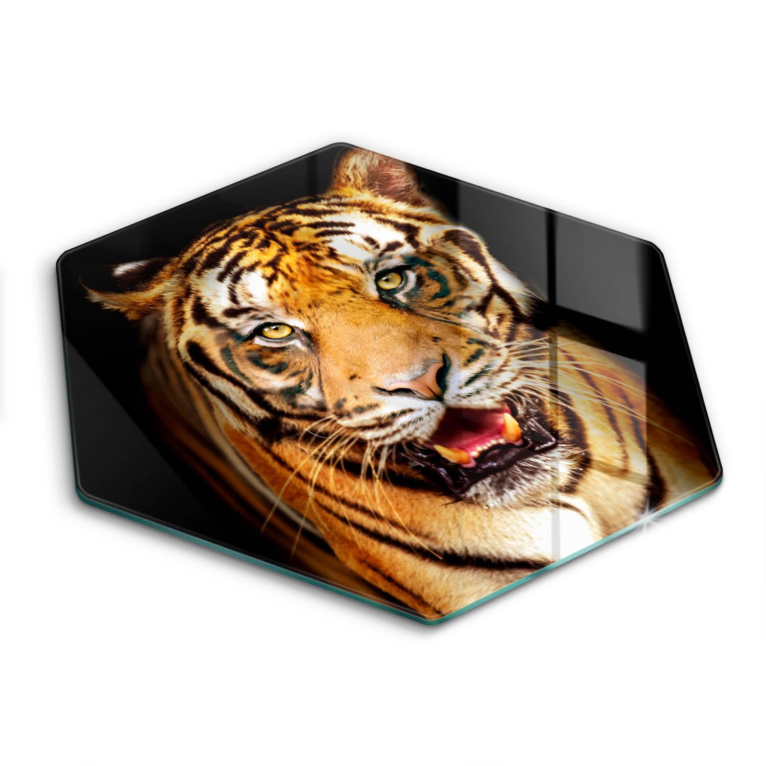 Plaque induction 40cm Wallfluent protection verre hexagonal motif tigre