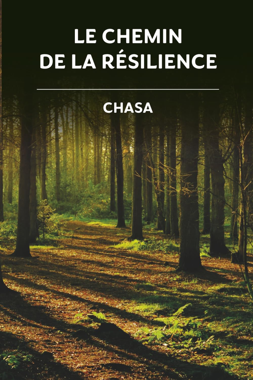 Le chemin de la résilience: L'histoire commence ici