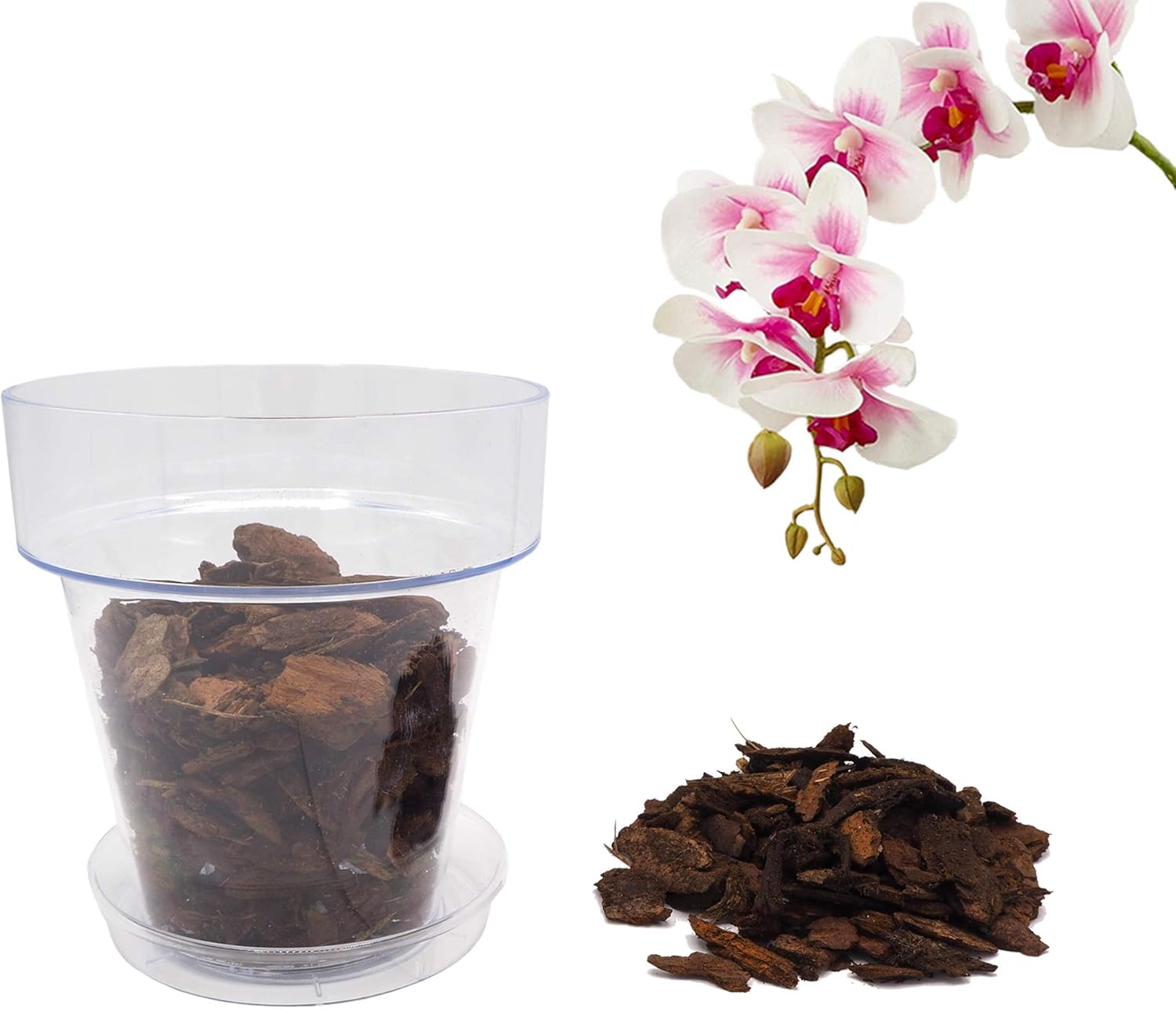 collare di corteccia per razze giocattolo