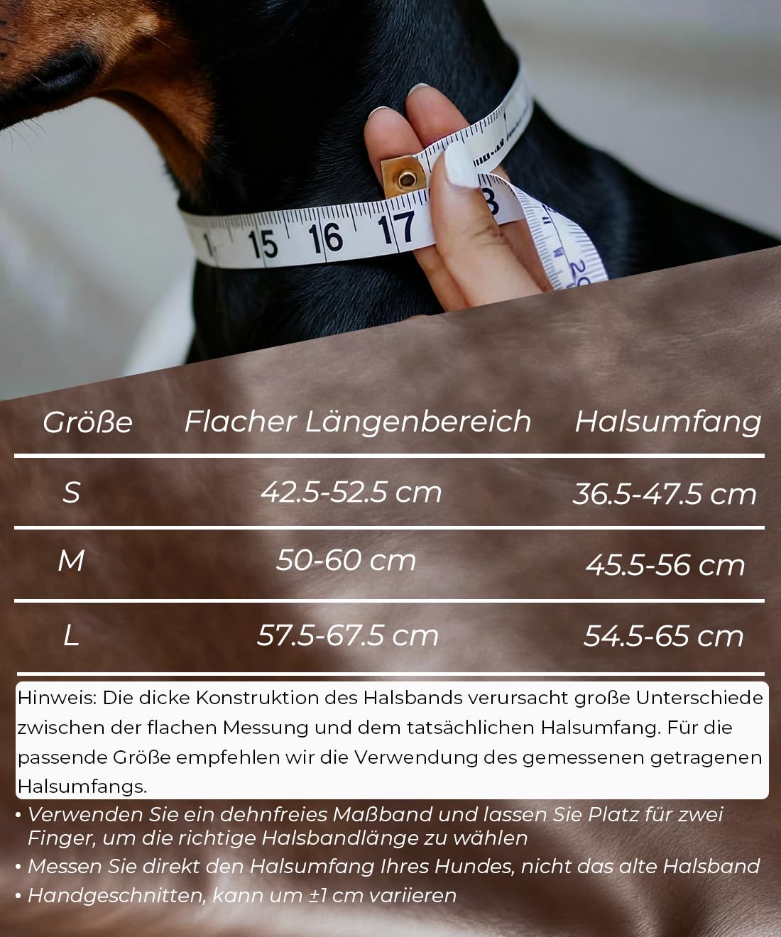 EliteGuard Hundehalsband Leder, 5,6 cm Breit, Handgefertigt Mit Nieten Und Edelstahlschnalle, Für Den Täglichen Gebrauch Bei Großen Hunden Braun 36.5-47.5 cm