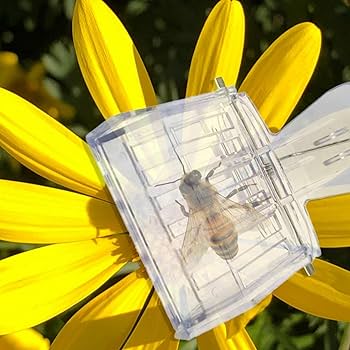 女王蜂 ナップサック Amazon.co.jp: 女王蜂 リュック ナップザック 巾着 : ファッション