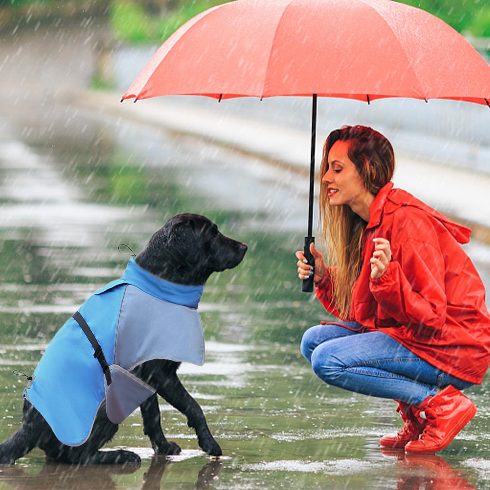 Impermeabile Per Cani Leggero Copertura Totale | Impermeabile per Cani Per Attività all'Aperto Camminata Jogging Escursionismo