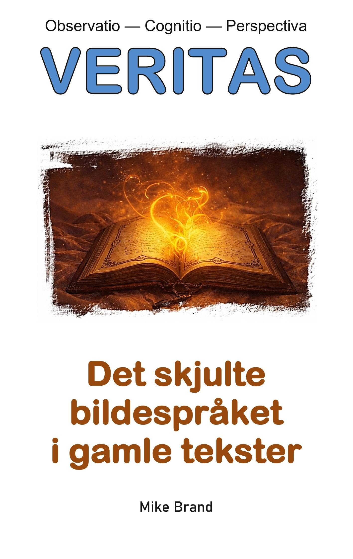 Det skjulte Bildespråket i gamle tekster