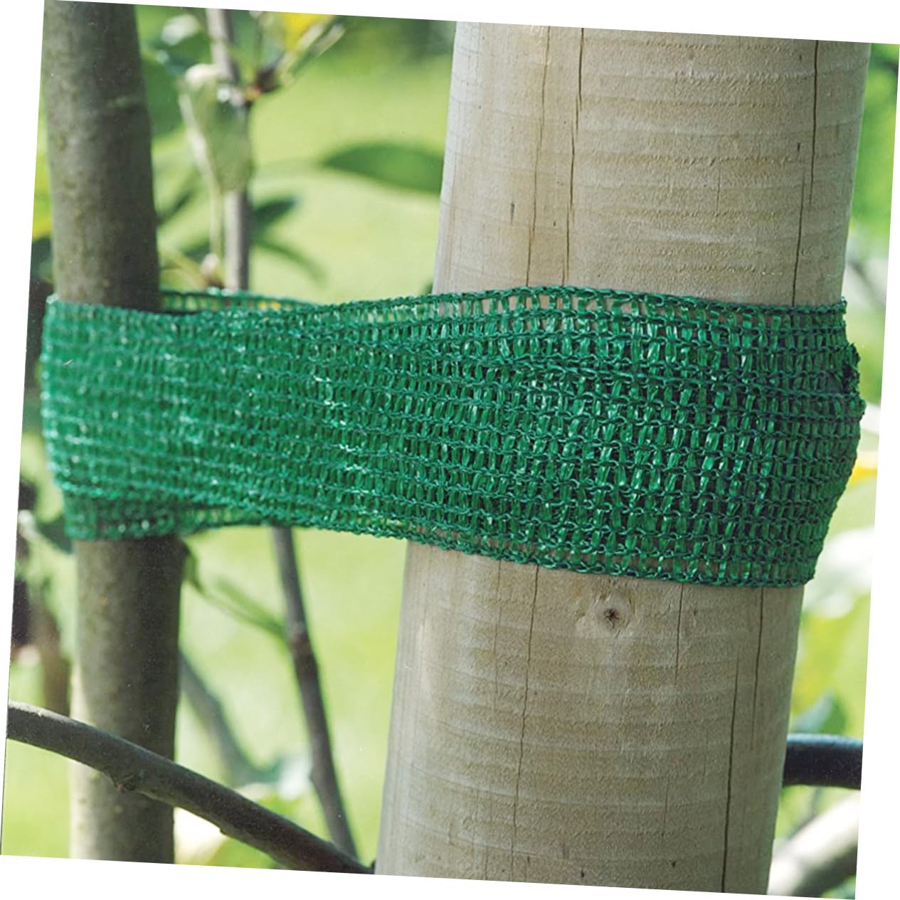 jojofuny 45pezzi Legatura per Alberi Materiale di Sostegno per Giardinaggio Cinghie per Legare e Sostenere Piante di Morbide e Flessibili per Proteggere Gli Alberi
