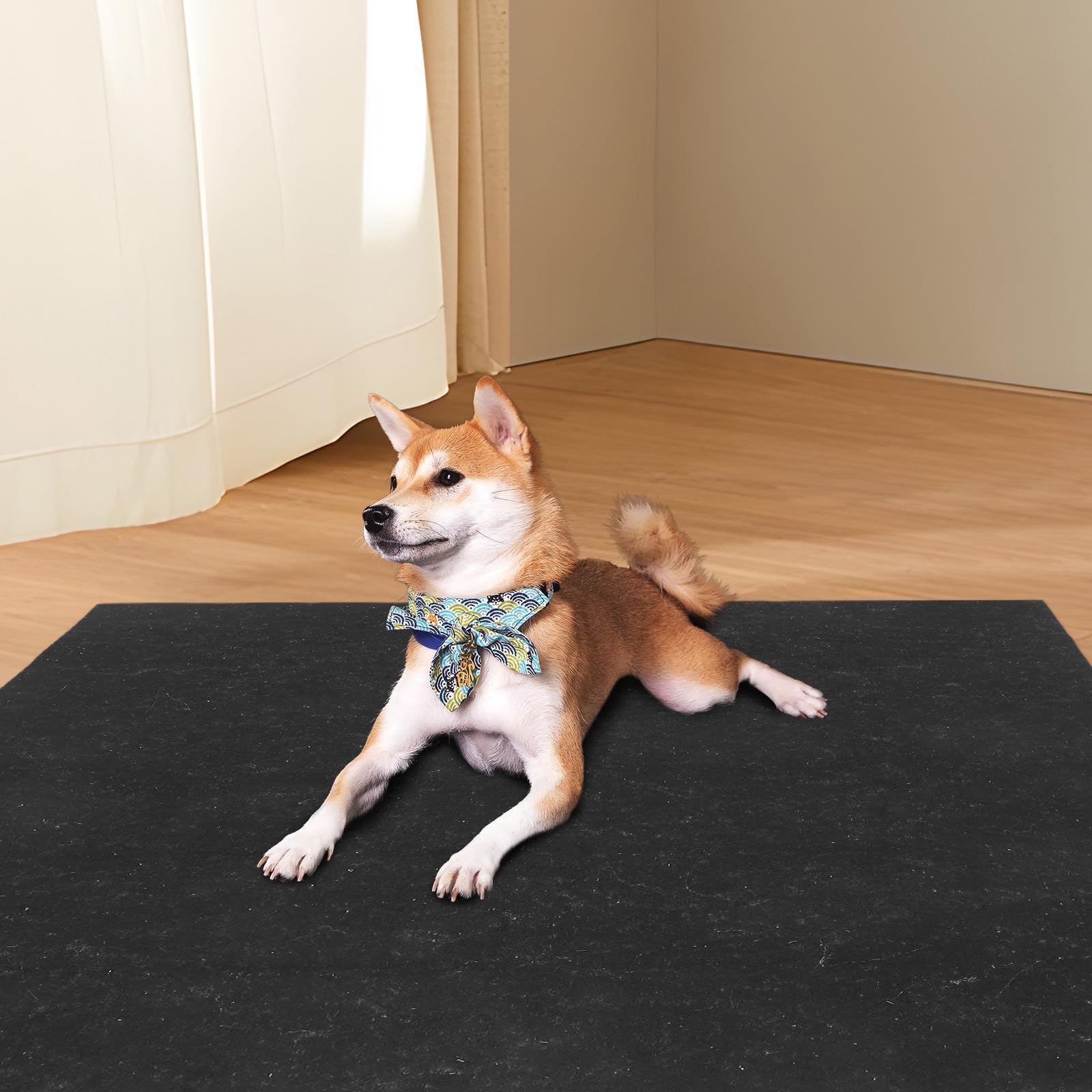 ABOOFAN Almohadillas Reutilizables de Fieltro para Entrenamiento de Cachorros y Perros, Absorbentes, Lavables, Tamaño Grande para Jaulas y Áreas de Juego