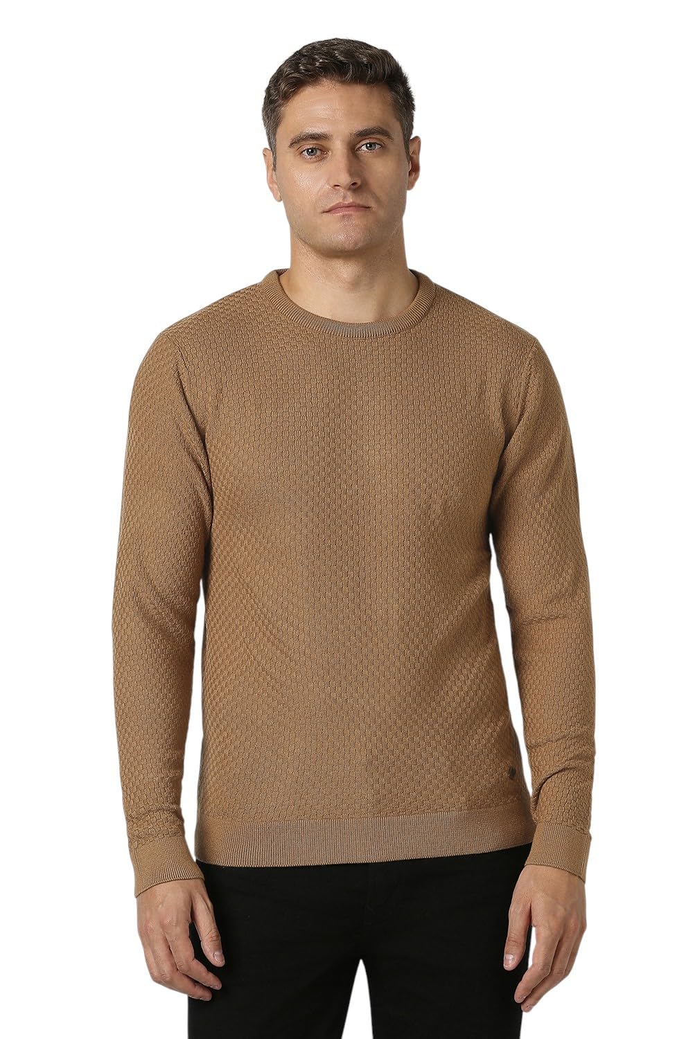 peter england Men Sweater-picture-17