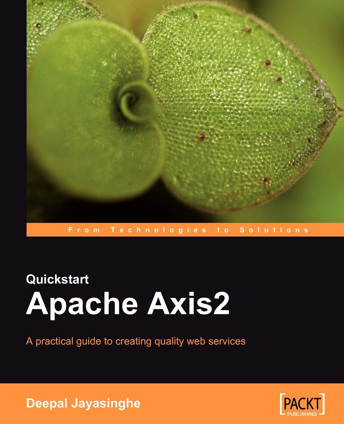 Quickstart Apache Axis2: A practical guide to creating quality web services (English Edition)