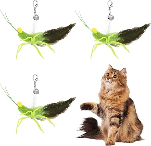 Miniatura 1 de 3 piezas de juguetes de plumas para gatos, juguetes interactivos para gatos con simulación de plumas, insectos, recambios de saltamontes, accesorios