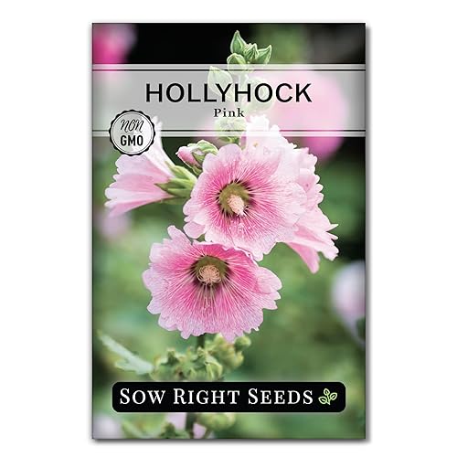 Sow Right Seeds - Pink Hollyhock Seeds for Planting -