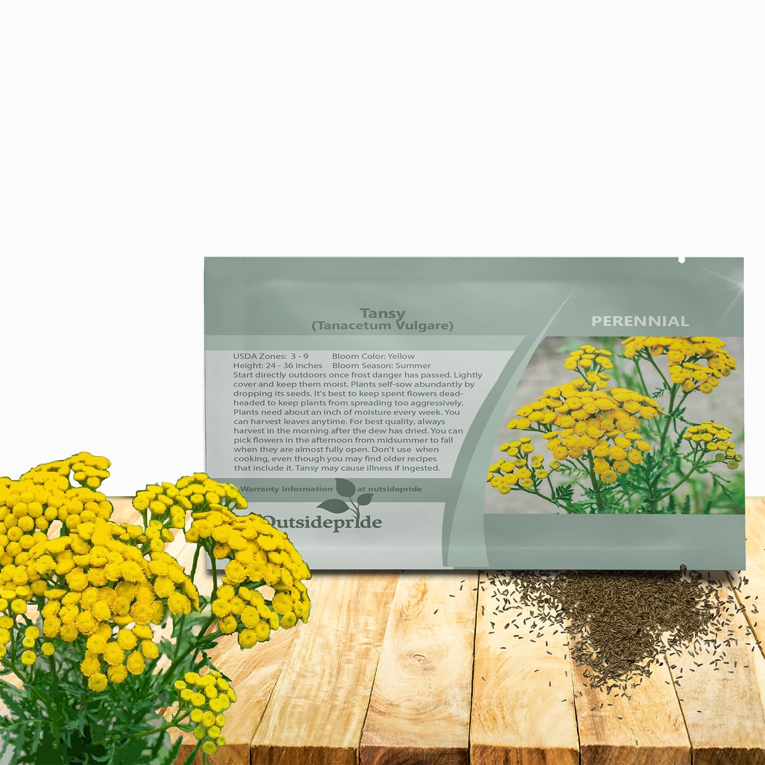 Outsidepride Tansy Seeds - 5000 Pcs. Perennial, Easy to Grow & Low Maintenance, Herb Seeds for Planting Aromatic & Vibrant Yellow Button-Like Blooms, Great for Versatile Uses & Pollinator Gardens