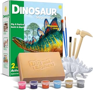 Dinosaur Stegosaurus Fossil Digging Kit for Kids, Dig and Build Educational Paleontology Set, 2-in-1 Excavation & Painting Kit with Dinosaur Model, STEM Educational Toys Gifts for Ages 6+