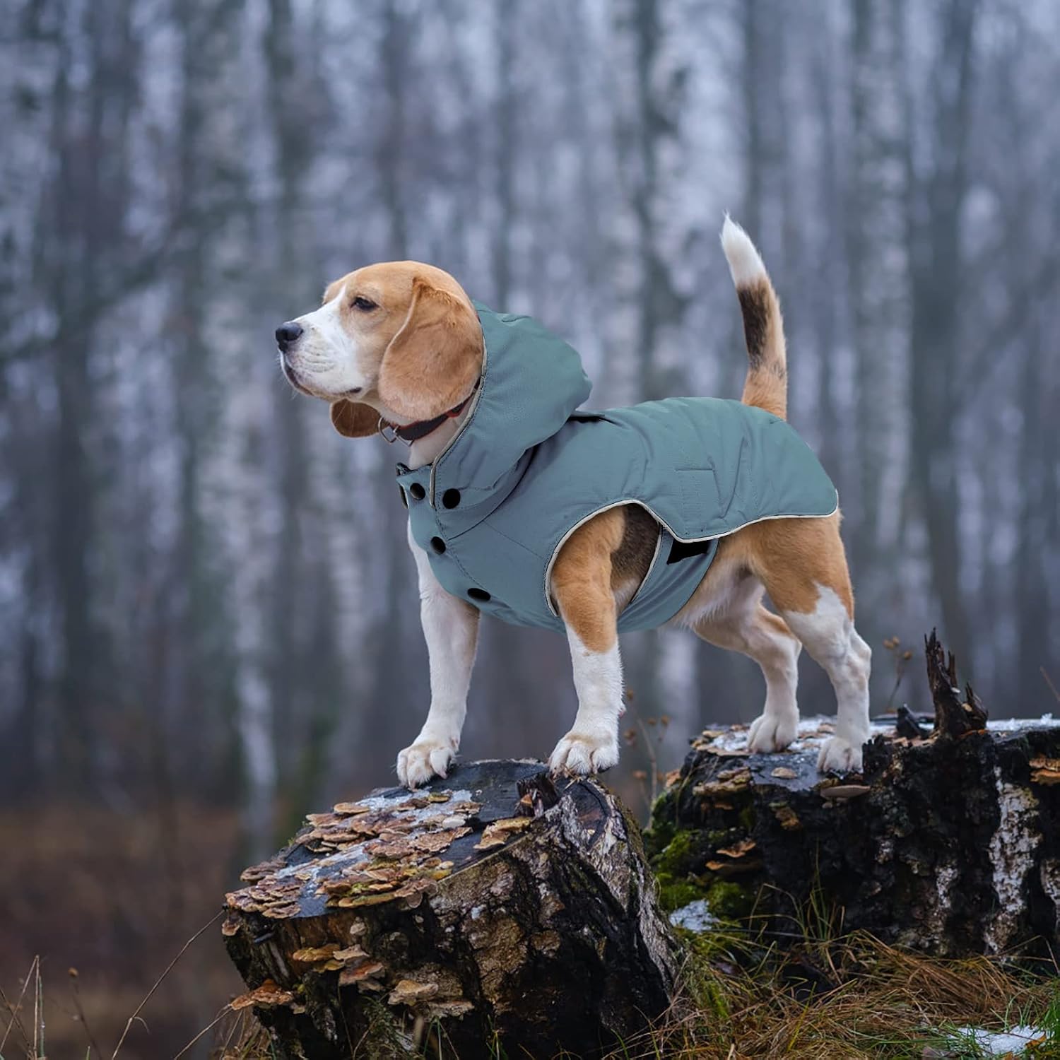 VOOPET Warm Dog Jacket, Snowproof Windproof Waterproof Dog Winter Coat for Cold Weather - Soft Fleece Lining and Warm Thick Padded Dog Snow Coat with Detachable Hood for Puppy Small Medium Dogs