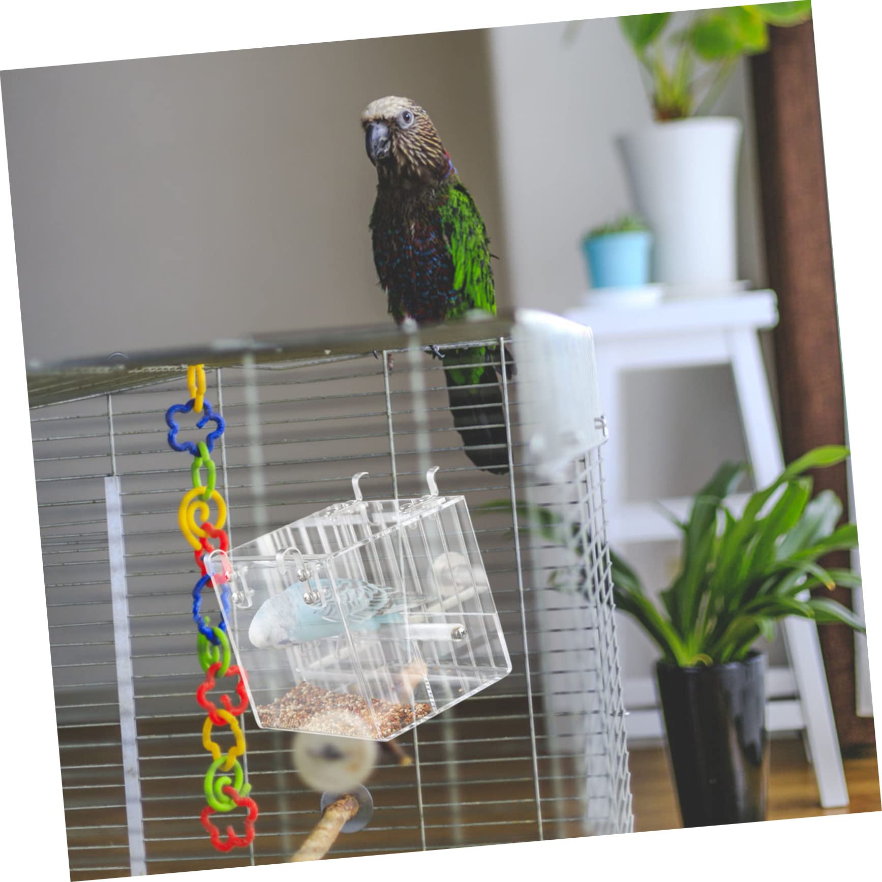 Mangeoire à Oiseaux Automatique en Plastique pour Perroquet et Petits