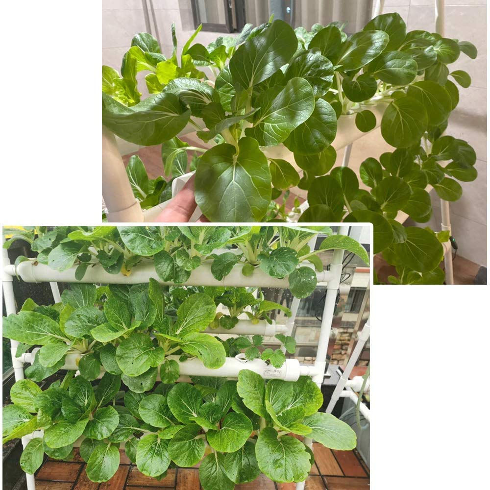 Amazon.co.jp: LAPOND 水耕栽培システムキット 72植物サイト 4層 食品