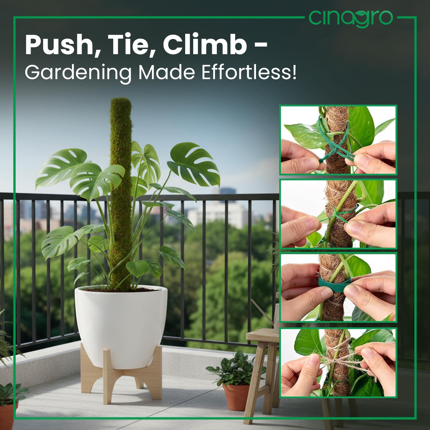 Coir Moss Sticks - Plant Support for Climbing Plants -7