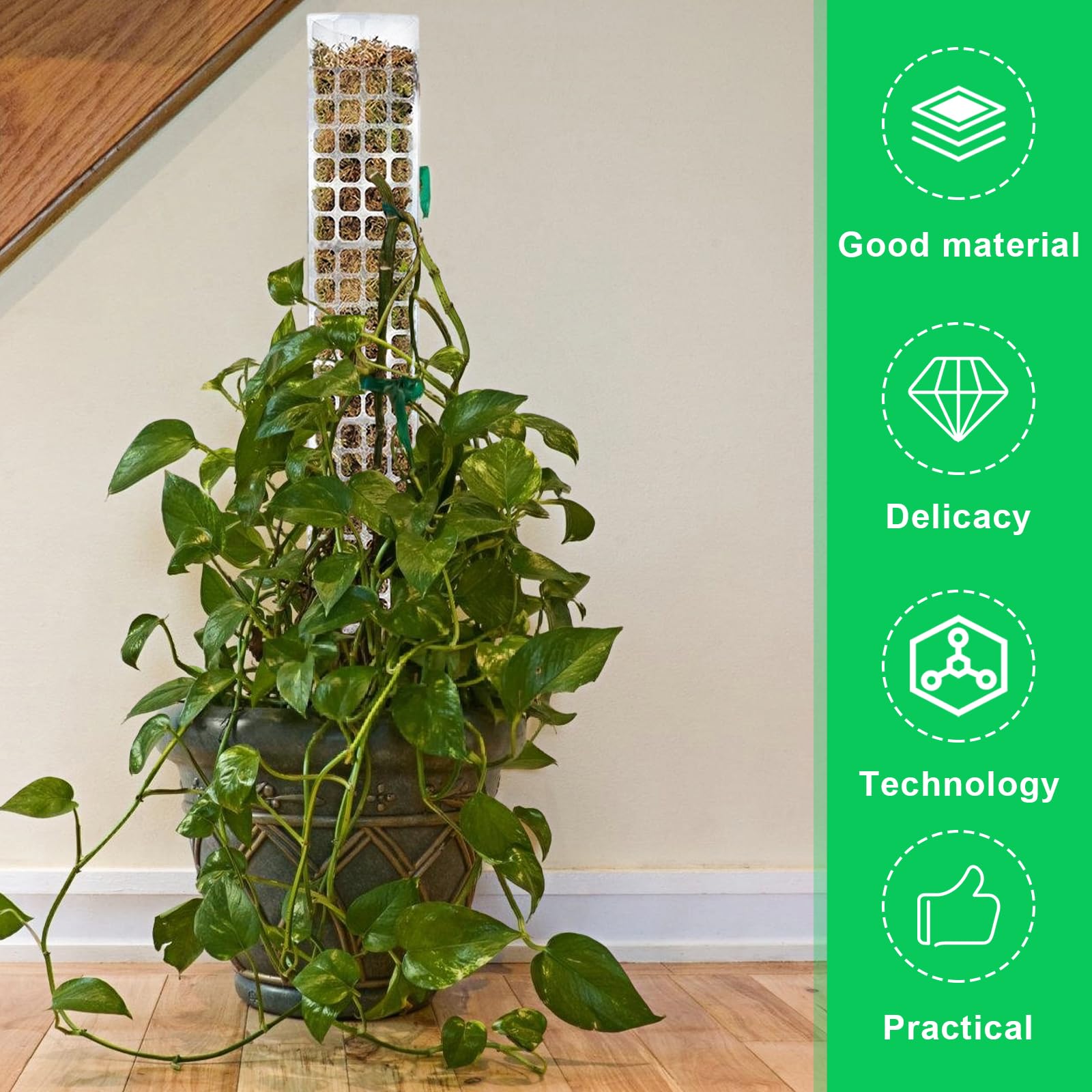Monstera, 6 pezzi da 61 cm, asta di muschio Monstera, asta per piante da giardino con nastri per piante e , asta per muschio per Monstera, Moss Pole per piante rampicanti da appartamento