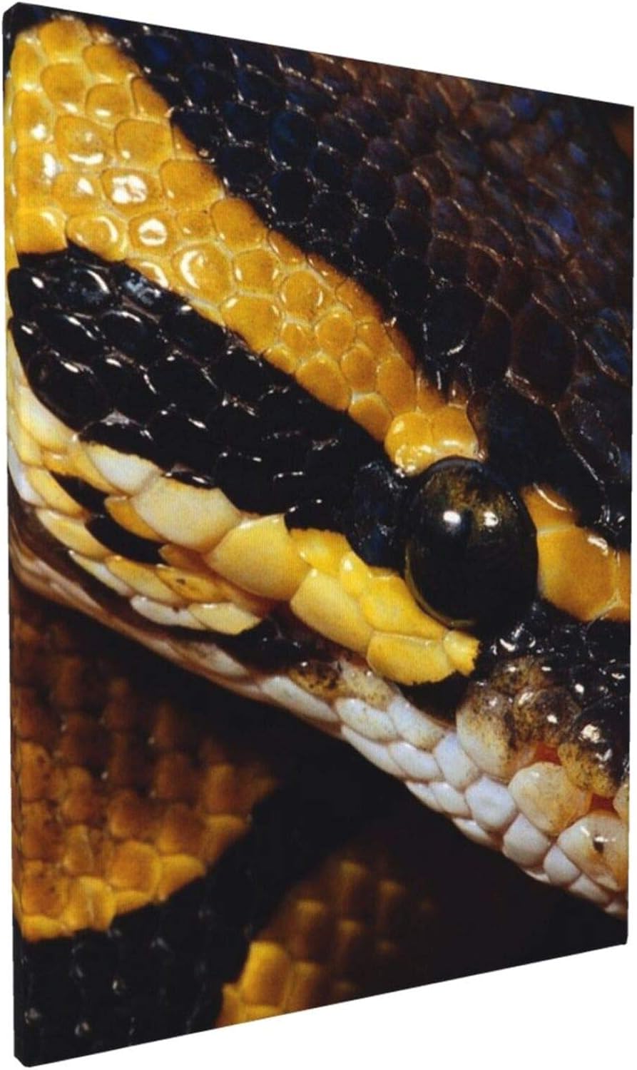 Amazon Co Jp 凶悪な自然 ヘビ 野生動物 蛇 油絵アート絵画ポスター 30x40cmキャンバスパネル インテリア 壁掛け装飾 アート 絵画壁飾り フレーム付き モダン絵画 寝室 壁玄 部屋インテリア飾り新築お祝い 贈り物 ホーム キッチン Amazon Co Jp 凶悪な自然 ヘビ 野生動物 蛇 油絵アート絵画ポスター 30x40cmキャンバスパネル インテリア 壁掛け装飾 アート 絵画壁飾り フレーム付き モダン絵画 寝室 壁玄 部屋インテリア飾り新築お祝い 贈り物 ホーム キッチン