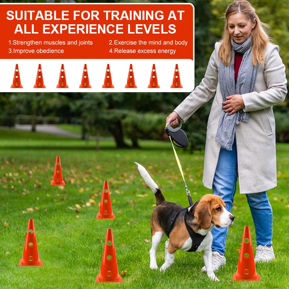 Agility pour Chien Kit, Sports Haies Set 8 Cônes + 4 Barres agilité, 23 cm de Hauteur, 80 cm de Longueur, pour Chiens, Sports, Football, Chevaux (Orange)