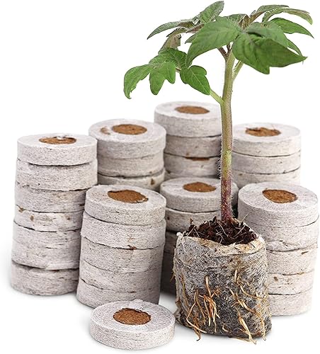 Miniatura 1 de Window Garden - Iniciador, semillas, fibra para suelo