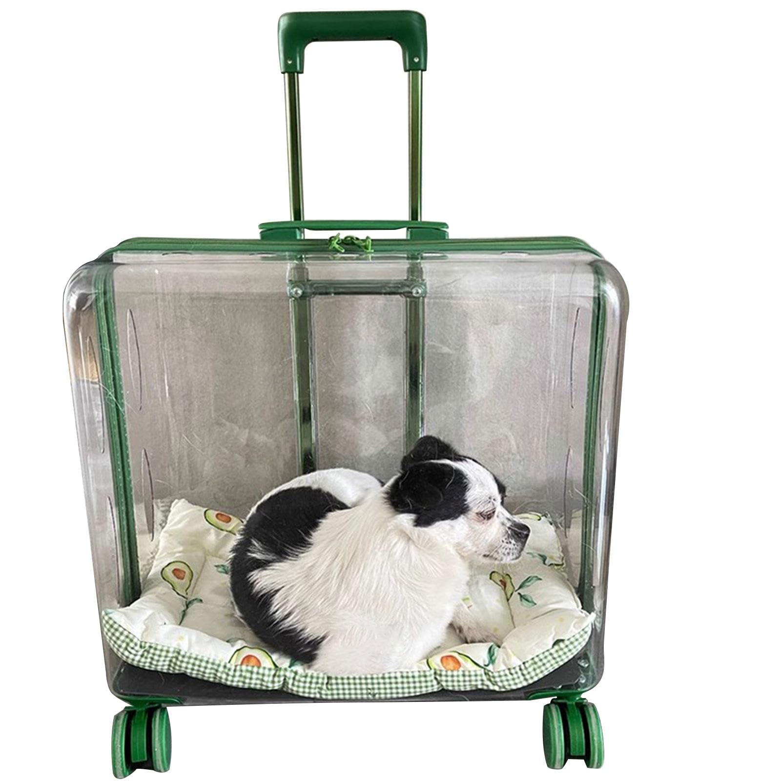 Bolsa para Gatos/Maleta con Ruedas para Gatos/Transportín para Mascotas Cochecito para Perros y Cachorros, Gatos, Medianos y Pequeños para Viajar/Dar Un Paseo,Green
