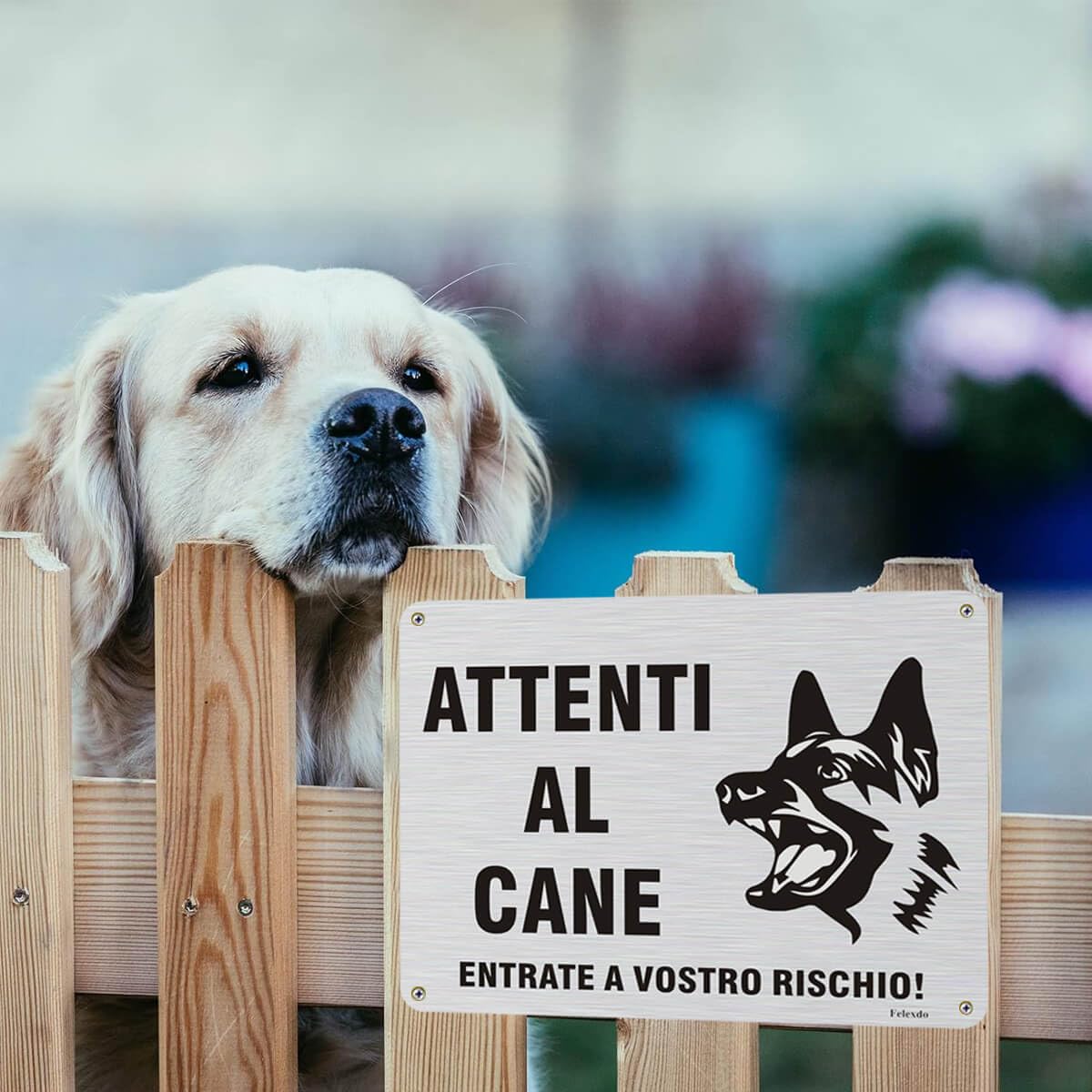 Attenti al Cane Cartello,20x15cm Targhetta Attenti al Cane con Autoadesivo Attenzione al Cane Cartelli in Alluminio Spazzolato Durevole Adatti per Uso Interno o Esterno