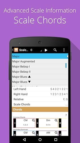 Piano Companion PRO é um dicionário flexível de acordes e escalas com bibliotecas de usuário e modo