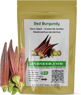 Burgundy Red Okra Seeds (Approx. 200 Seed-10 Grams) High Yielding and Beautiful Addition to Your Garden…
