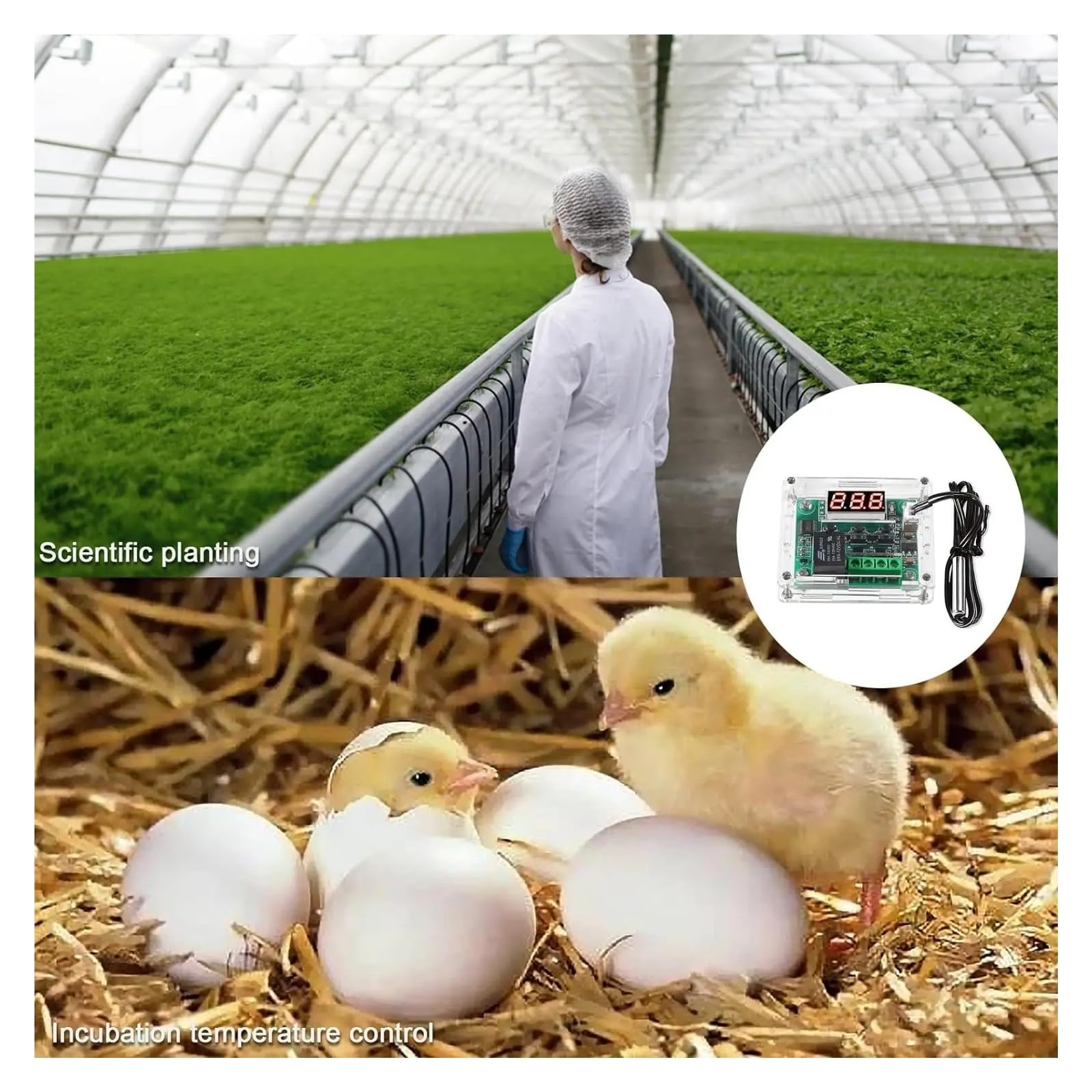 2 controladores de temperatura digitales XH-W1209 de -50 ~ 110 ℃, 12 V, módulos termostáticos con carcasa y muestra resistente al agua