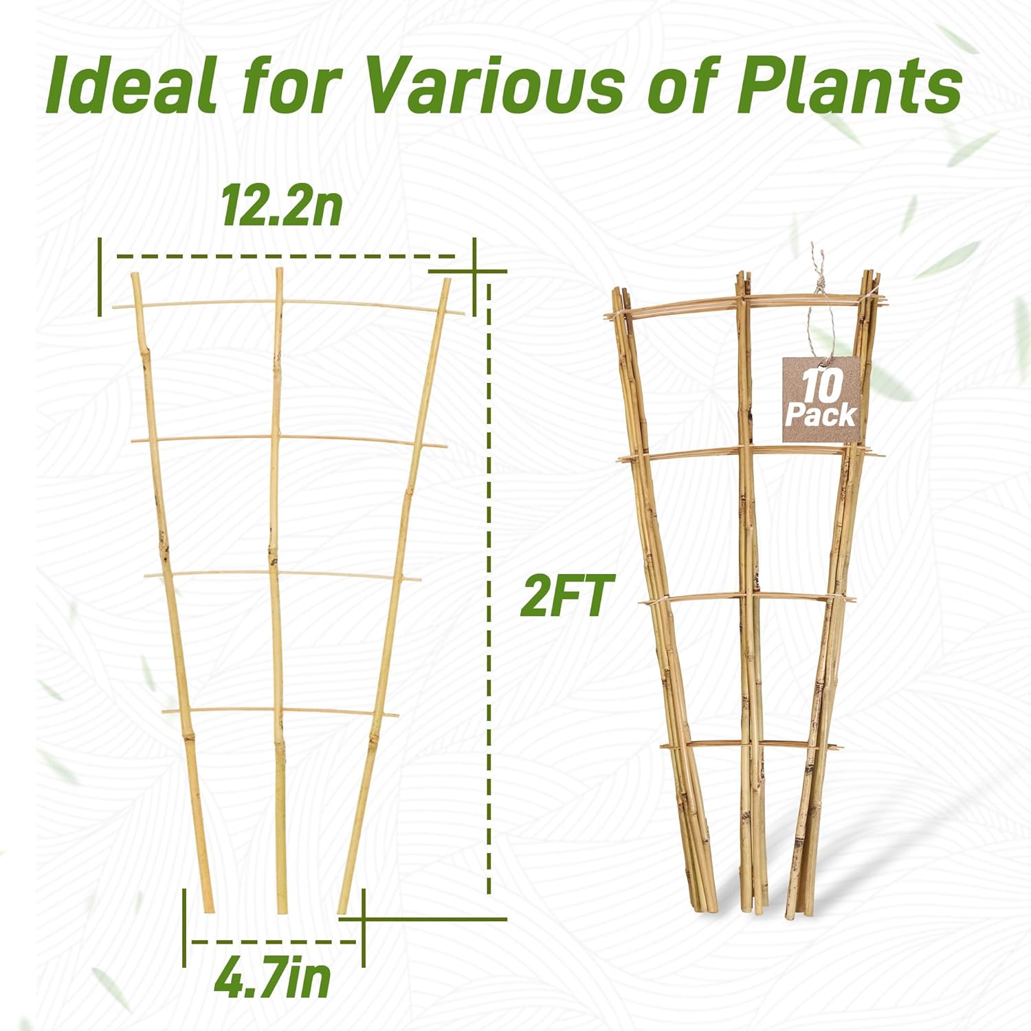 Avalution 10 Pack Bamboo Trellis for Climbing Plants, 2 FT Garden Ladder Trellis for Potted Plants Indoor, Fan-Shaped Small Plant Support Trellis for Houseplants Ivy Hoya Vine Monstera
