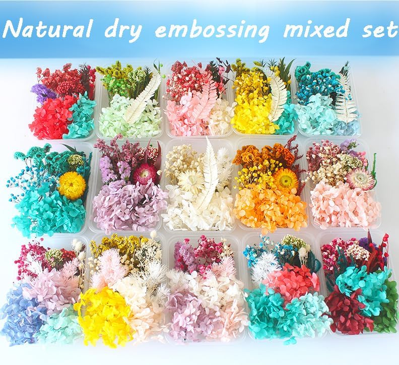 Miniatura 2 de Caja mixta de flores secas prensadas para resina al azar, con 1 pinzas, flores mixtas secas naturales y reales, kit de hierbas a granel para álbumes