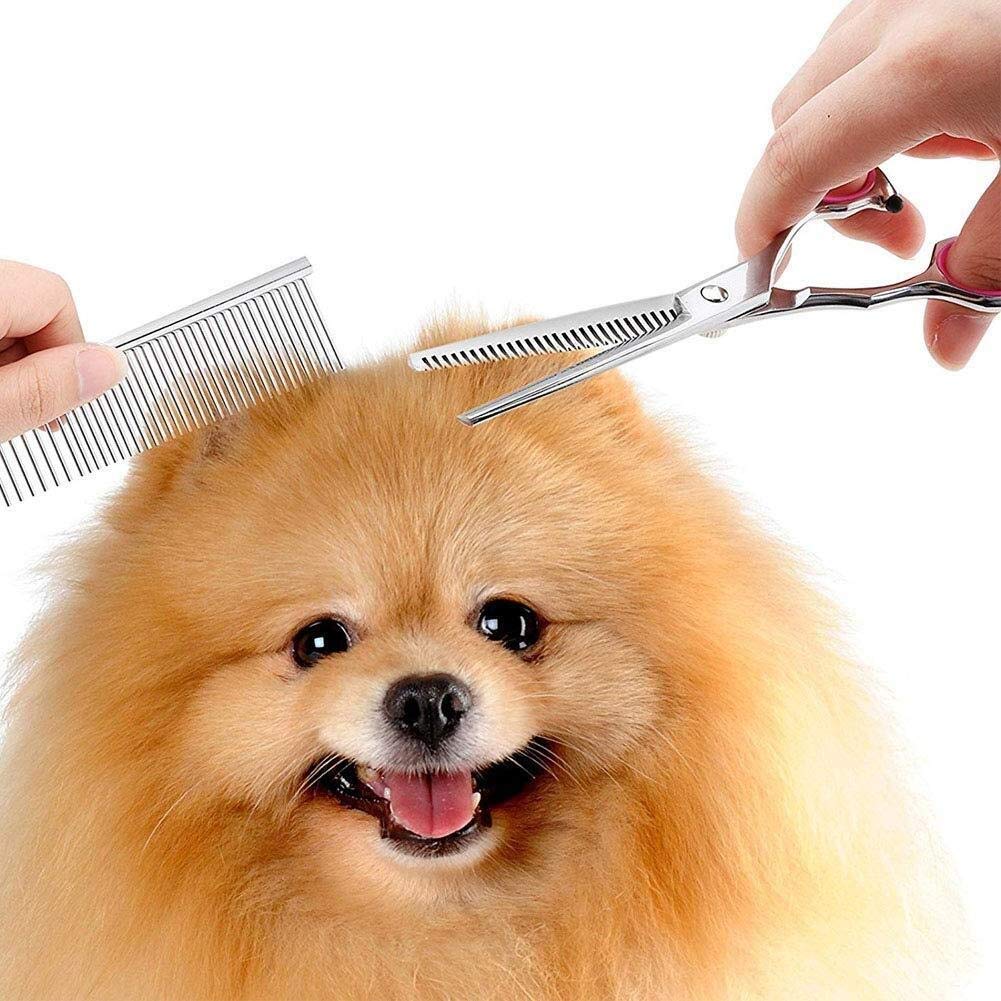 Ciseaux de toilettage pour Chien Ciseaux de toilettage pour Animaux de Compagnie Ensemble de Ciseaux de toilettage pour Animaux de Compagnie de 7 Pouces Professionnel, Coupe-ongle