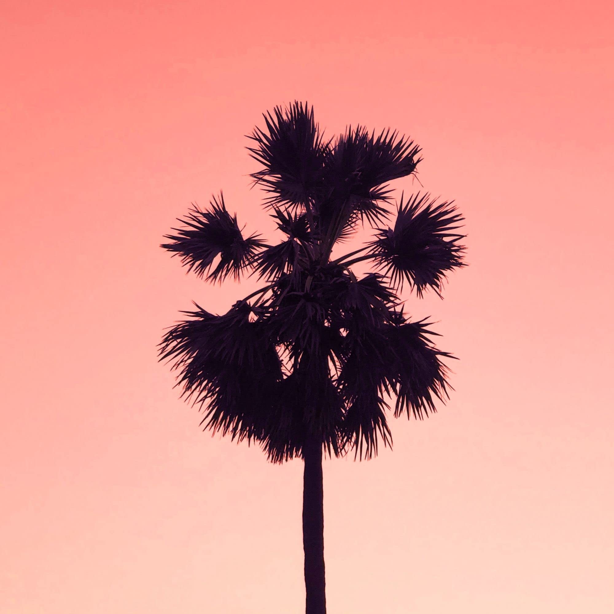 Chill House Collective