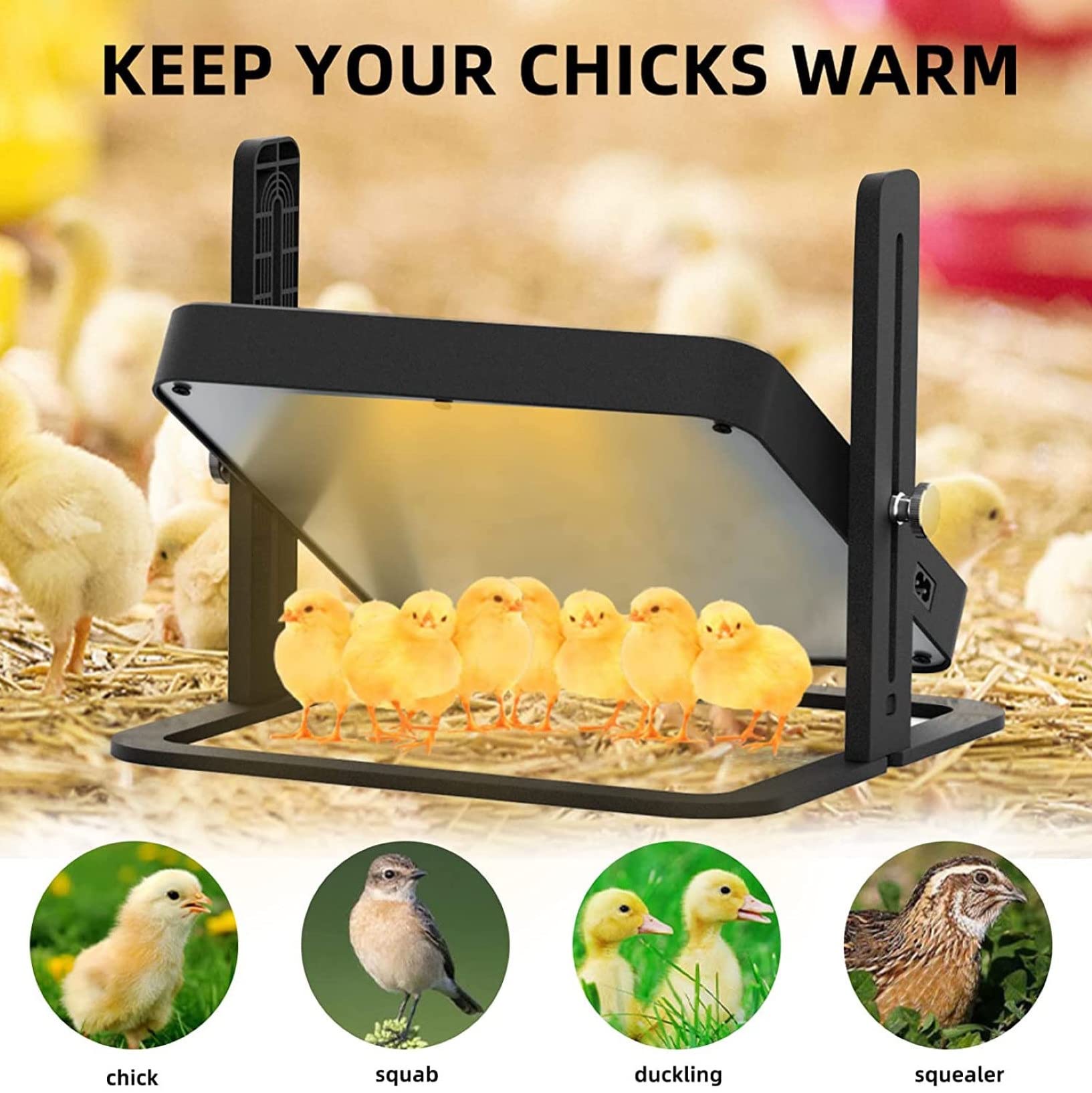 Criadero Pollitos Altura Ajustable,Placa Calefactora Mejorada para Mascotas Y Aves Corral,con Capacidad para 15 Pollitos para Incubar Patos,Pollitos Y Pájaros