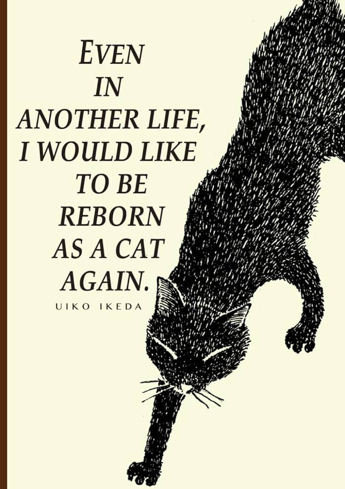 洋書  CATS life 51n0Mb6Zh2L._AC_SY200_QL15_.jpg