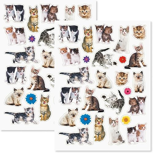 Miniatura 13 de Current Paquete variado de calcomanías temáticas para todo el año, 12 hojas, 178 calcomanías surtidas para niños, profesores, escuela, álbumes