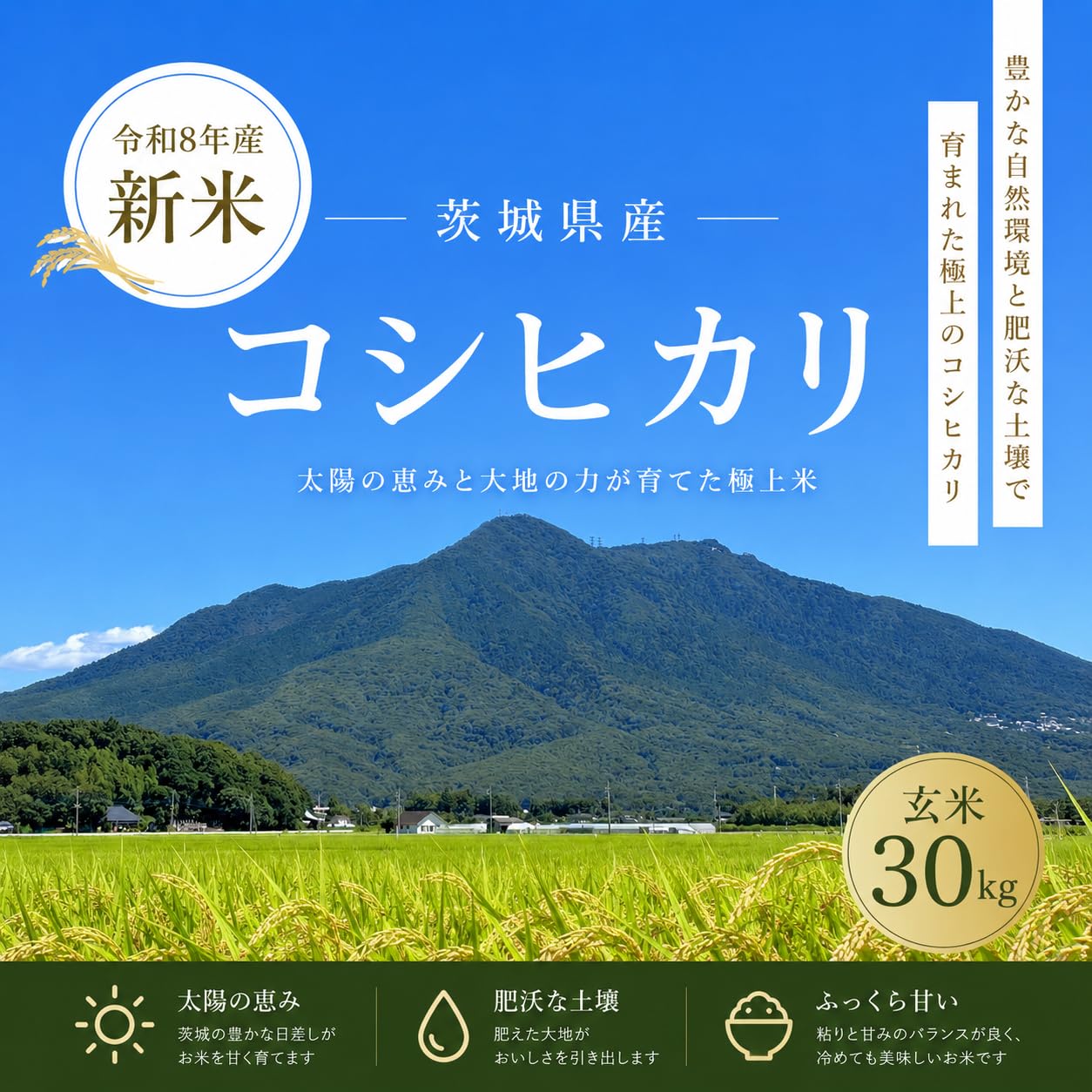 Amazon.co.jp: 新米 令和8年産 茨城県産 コシヒカリ 30kg 玄米 単一