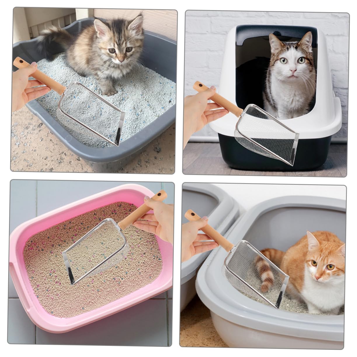 Pala para Arena de Gato, Diseño de Acero Inoxidable for una Limpieza eficiente los excrementos Gato for el Mantenimiento la Caja Arena. Características filtradas