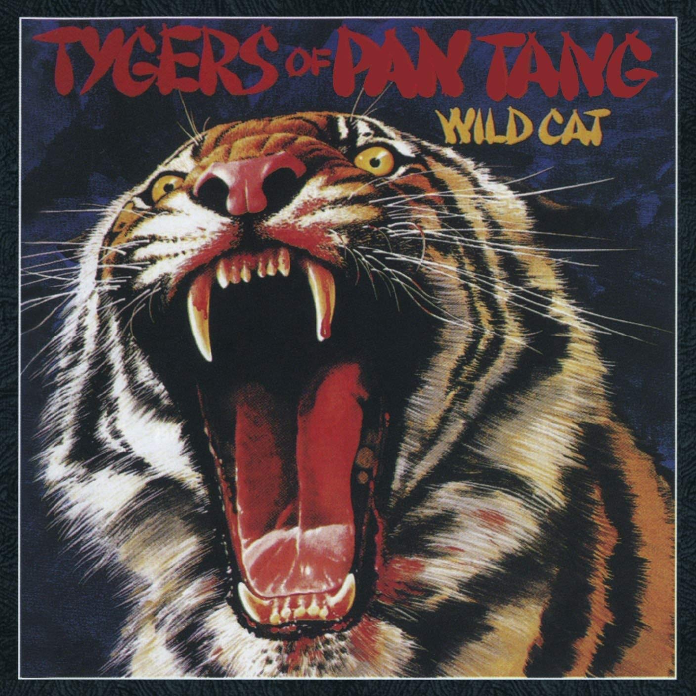 WILD CATS ワイルドキャッツ下パネルのみ 71Bv1Cfi2jL.jpg