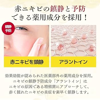 ベルリアン VCローションM 80ml 化粧水 ベルリアン VCローションM 80ml 化粧水 ベルリアン* - Dr.Re9
