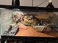 Review Image by Marianne