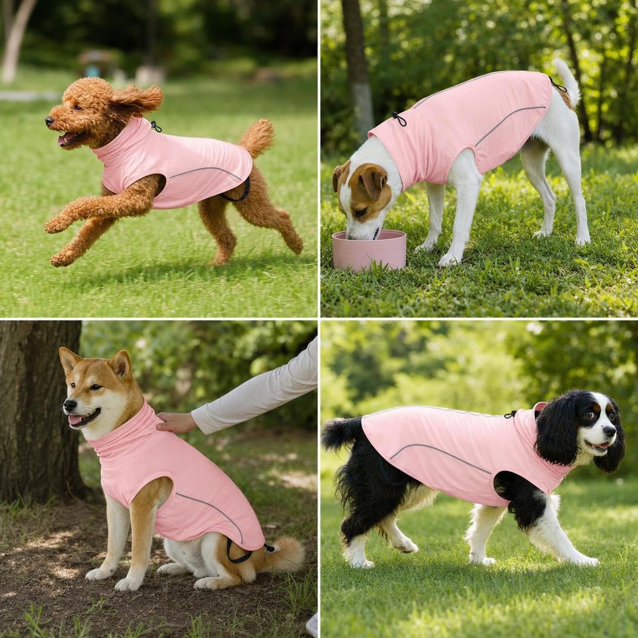 Gilet rafraîchissant pour Chien, Protection Solaire pour l'été, pour Le Confort
