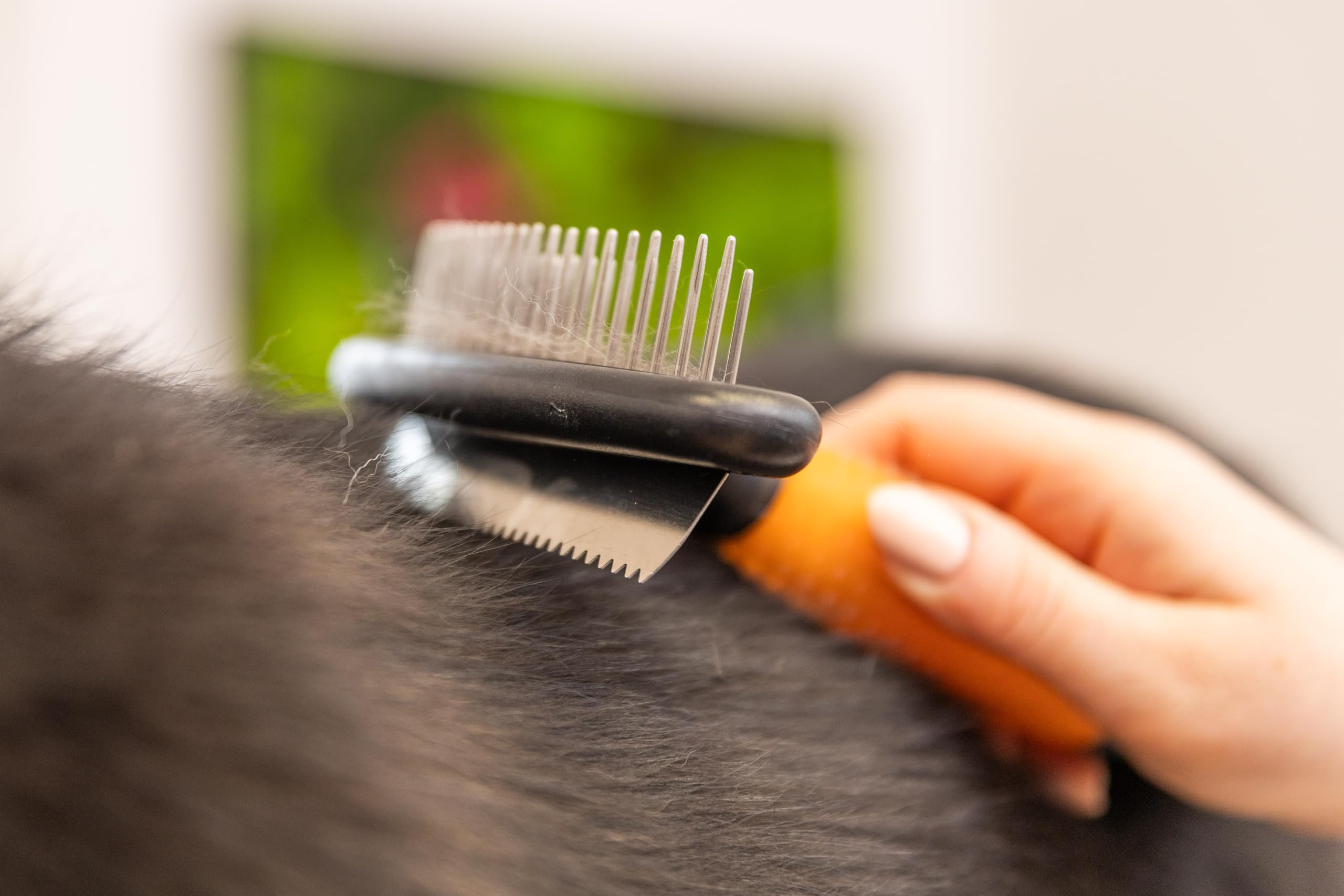 WAHL Zgrzebło Double Row Rake - Szczotka dla Psów i Kotów, Szczotka 2 w 1, Narzędzia do Pielęgnacji, Usuwa Luźną Sierść, Nie Szarpie Sierści, Żelowa Rączka, Pomarańczowa