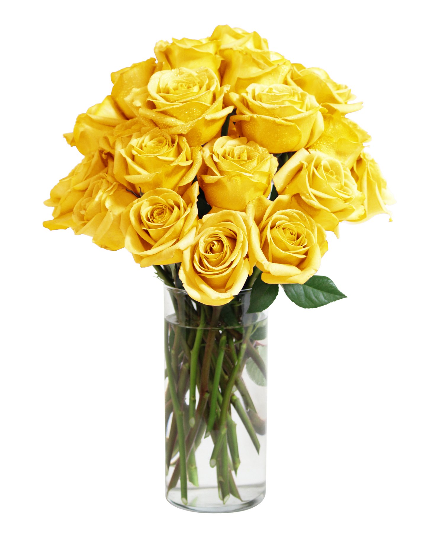 Bouquet of Long Stemmed Yellow Roses (Two Dozen) -The KaBloom Collection Flowers With Vase