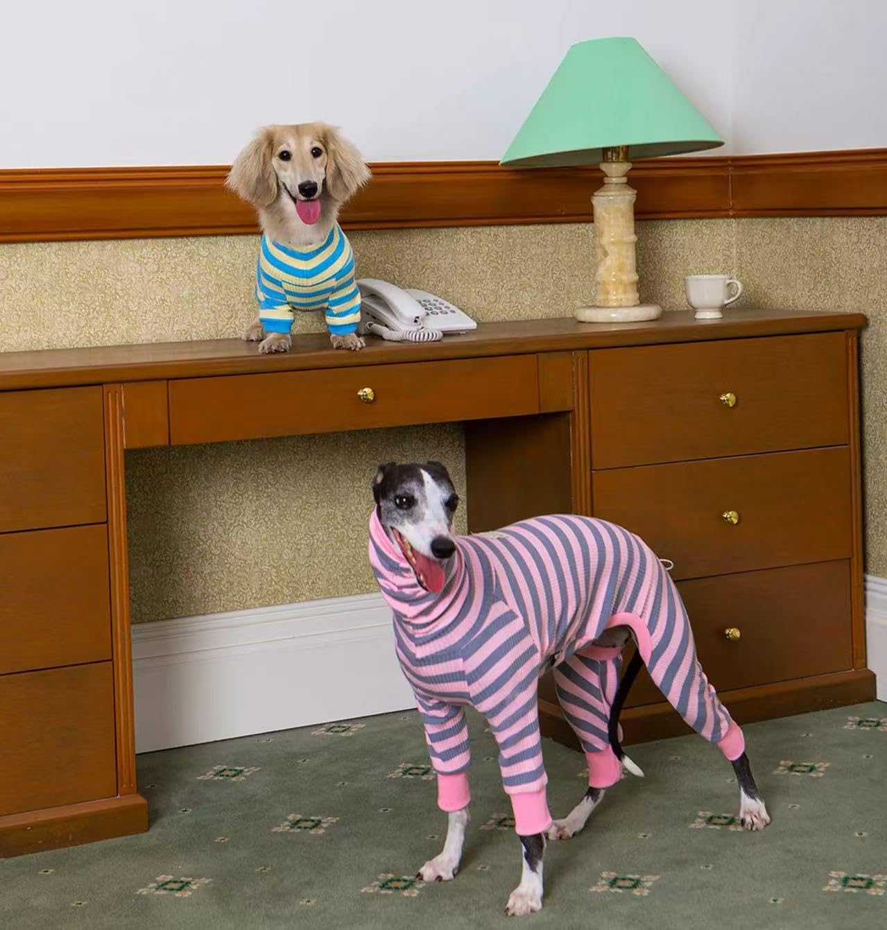 Dackel-Hunde-Shirt, dünn gestreift, Einteiler für Wiener-Hunde, leicht, für alle Jahreszeiten, weiche und bequeme Passform für Doxie- und Kurzbeinrassen, Blau und Gelb, Größe 3 (7,3–9,5 kg))