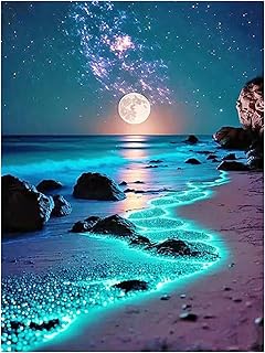 SHEGZHUC - Pintura de diamante (40 x 50 cm), diseño de lentejuelas, color azul, paisaje luna, playa, bordado en punto de cruz, pintura de diamantes, imágenes de regalo, decoración de pared