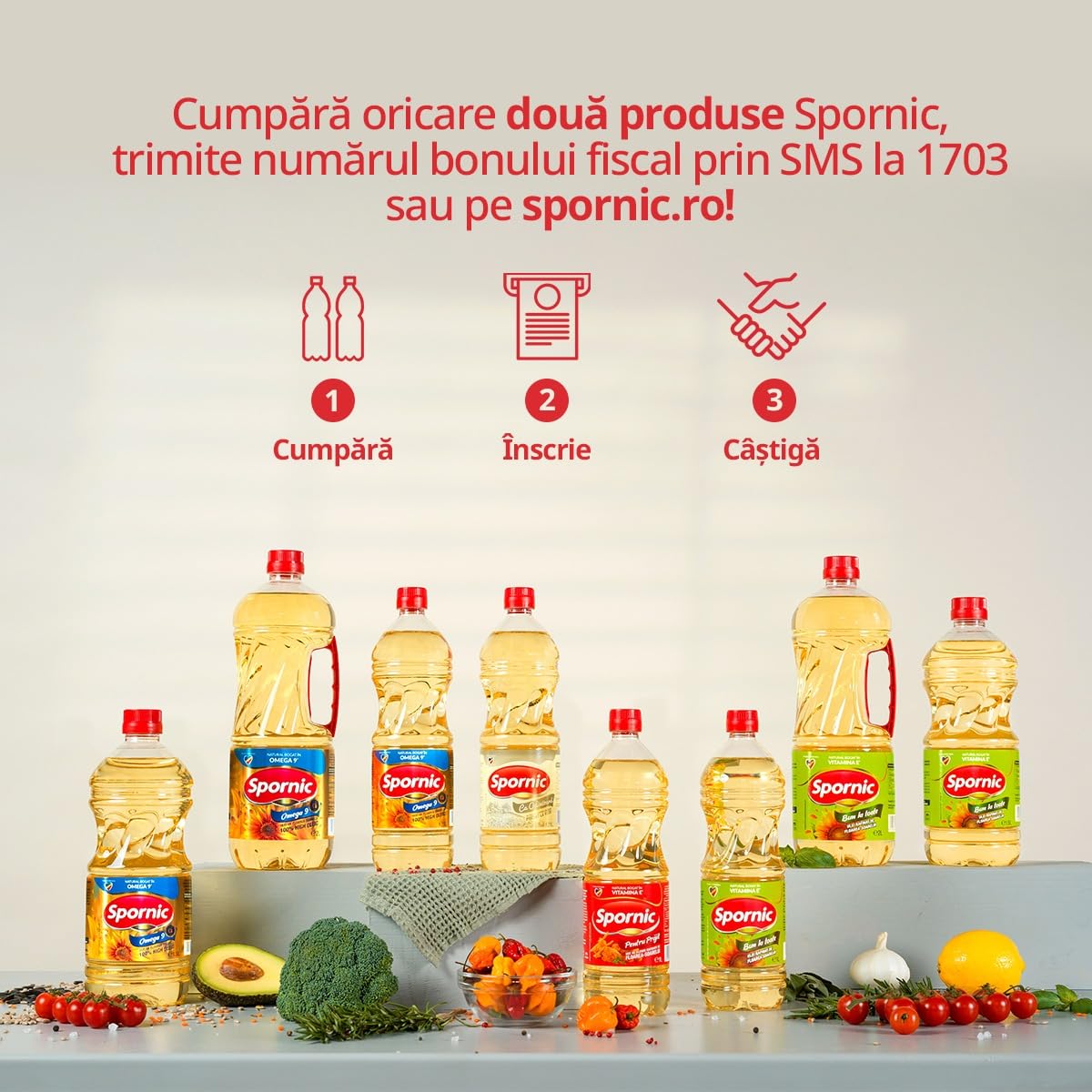 Huile de tournesol professionnel SPORNIC - Carton de 2 bidons de 5 L - Idéale pour la friture - Haut taux d'acide oléique - Résiste à des températures jusqu'à 250 degrés