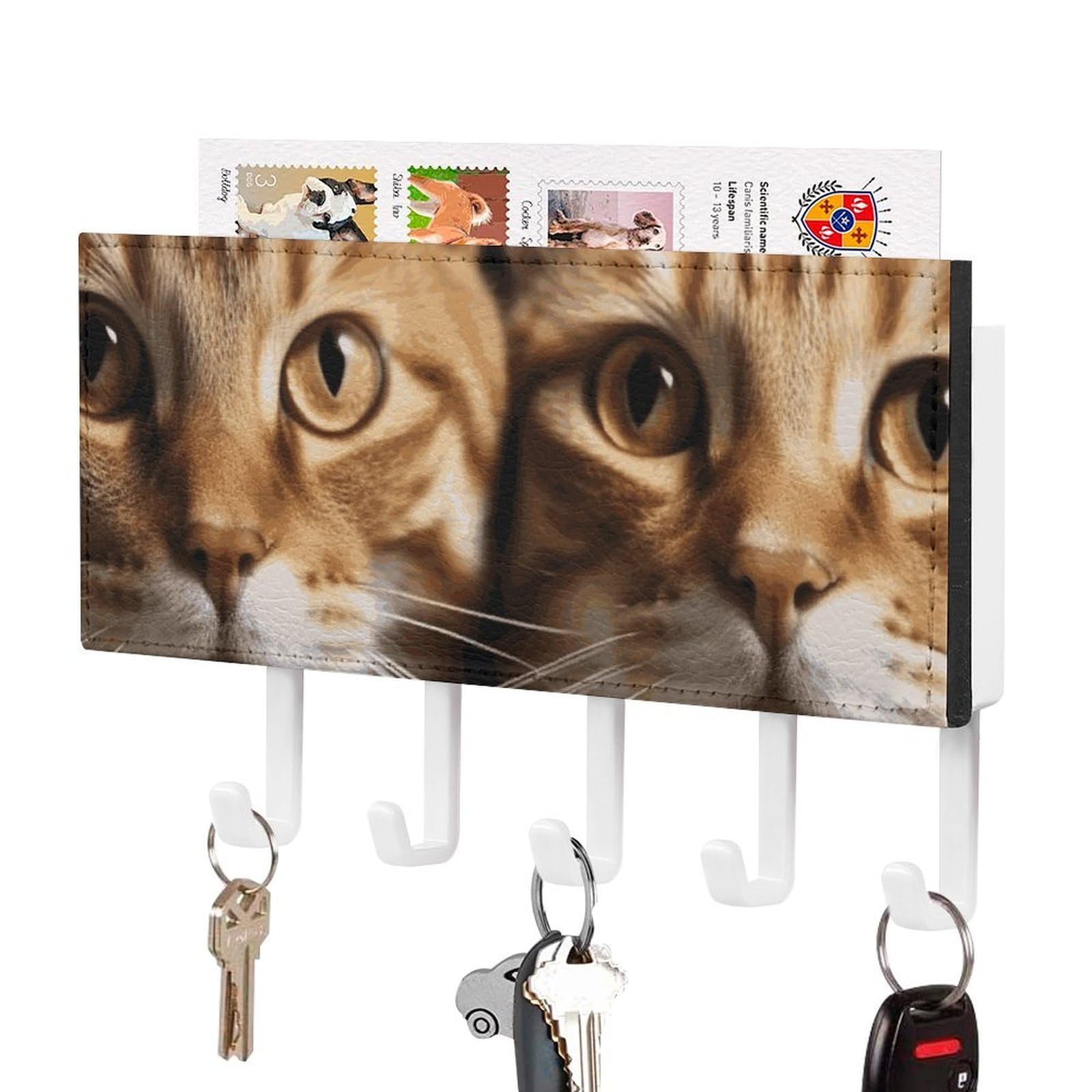 JTREHY Cats Holder Wall-Mounted Key and Mail Holder,Key Rack with 5Keys Hooks, Easy to Install Mail Organizer for Entryway, Front Door, Hallway, Office