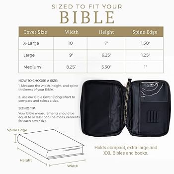 【未使用】　Bibiy. 　GABRIELLE ALL-IN-ONE BLACK Bibiy. GABRIELLE ALL-IN-ONE BLACK