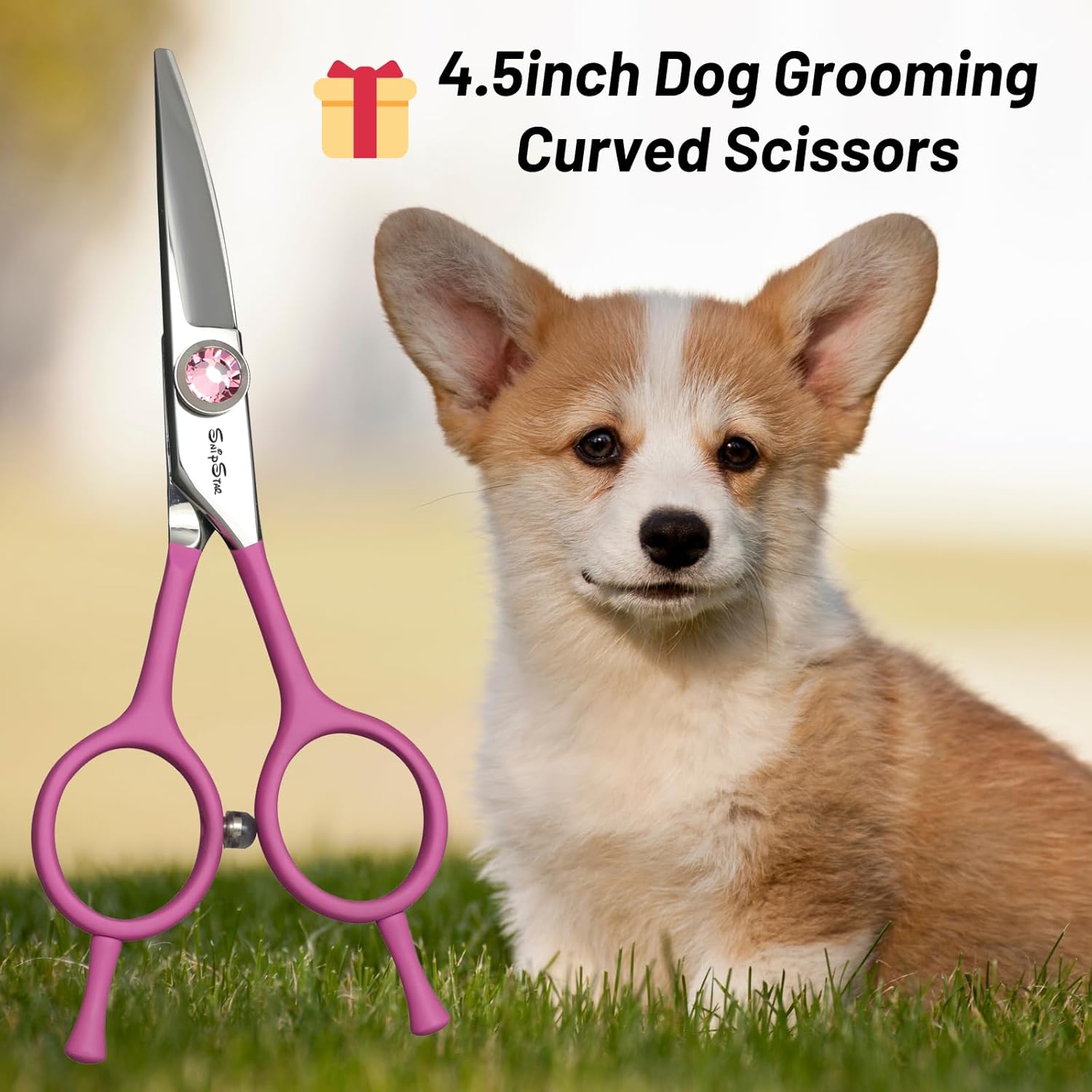 4.5 inch Professional Curved Dog Grooming Scissors, VG10 Steel Pet Trimming Cutting Scissors, Fine Grooming Shears for Cats Dogs at Home Groomer, 25 Degree Bend