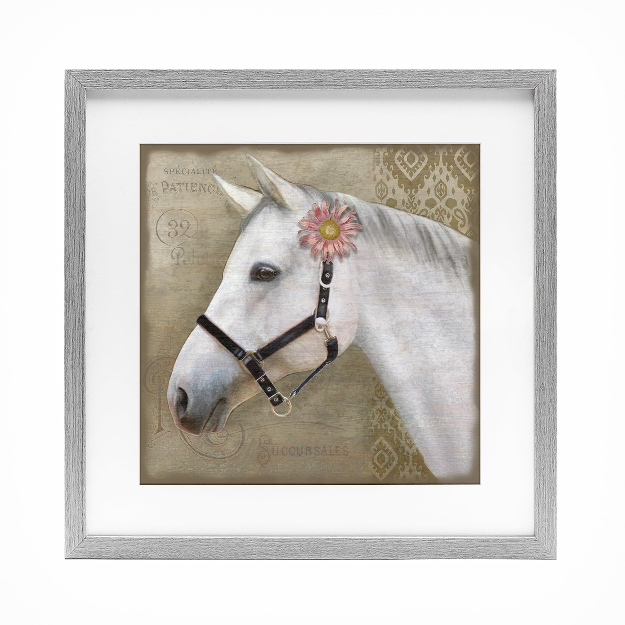 Stupell Industries Farmhouse Gray (Textured) 'Boho Barnyard Horse'| Framed Print Under Glass